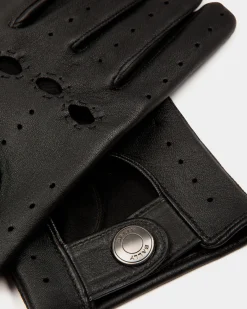 Adrien Brody Travel Collection Gloves In Black Leather
