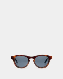 Dieter Sunglasses In Havana Acetate