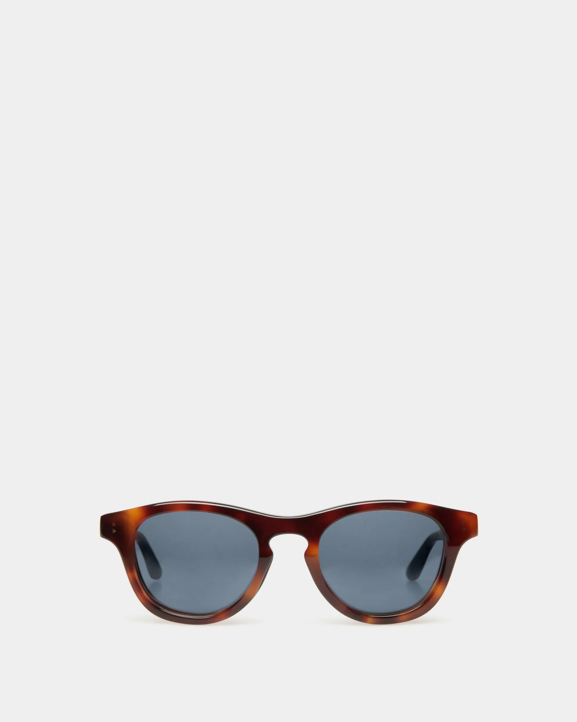 Dieter Sunglasses In Havana Acetate