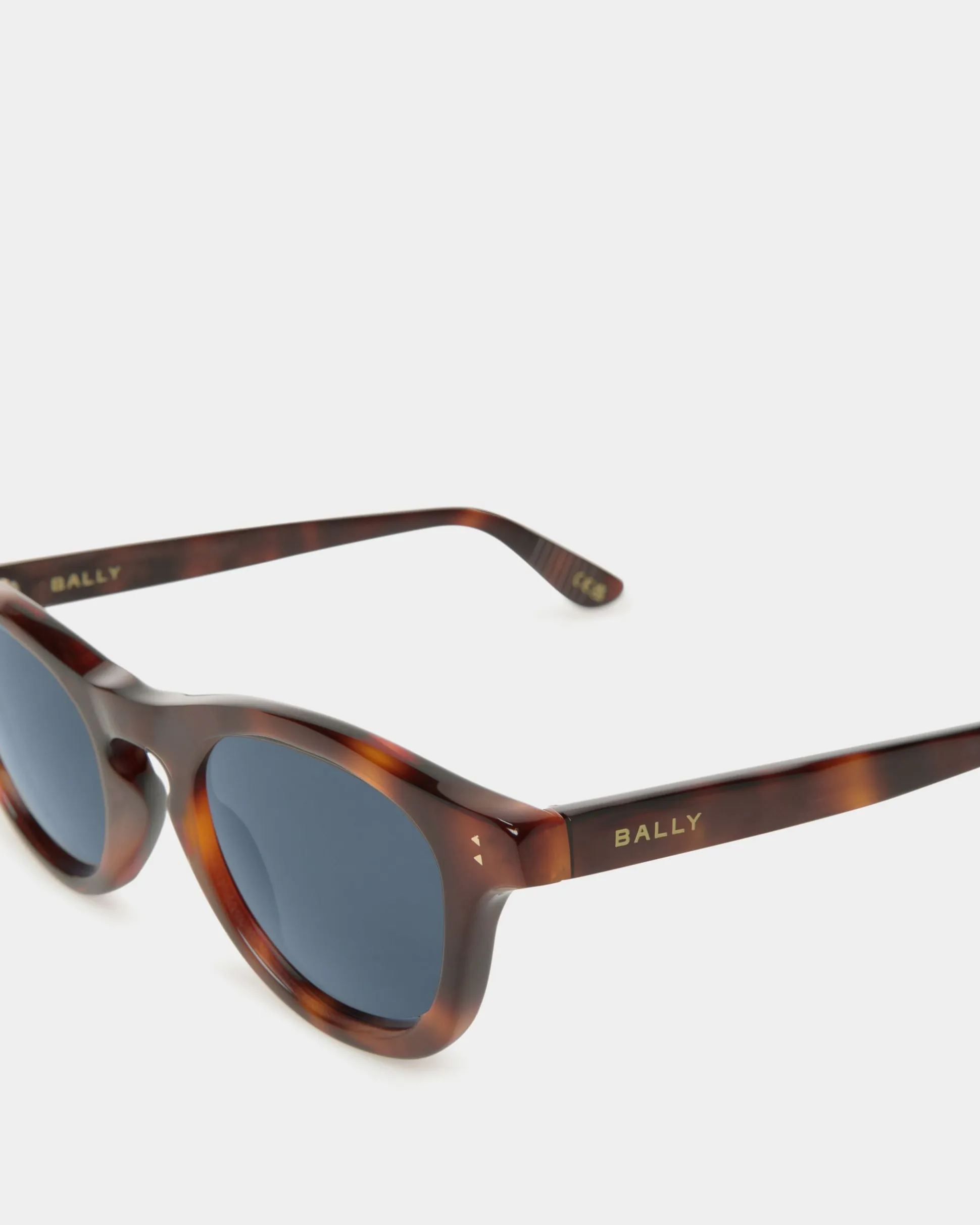 Dieter Sunglasses In Havana Acetate