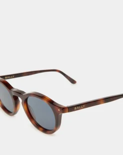 Hermann Sunglasses In Havana Acetate