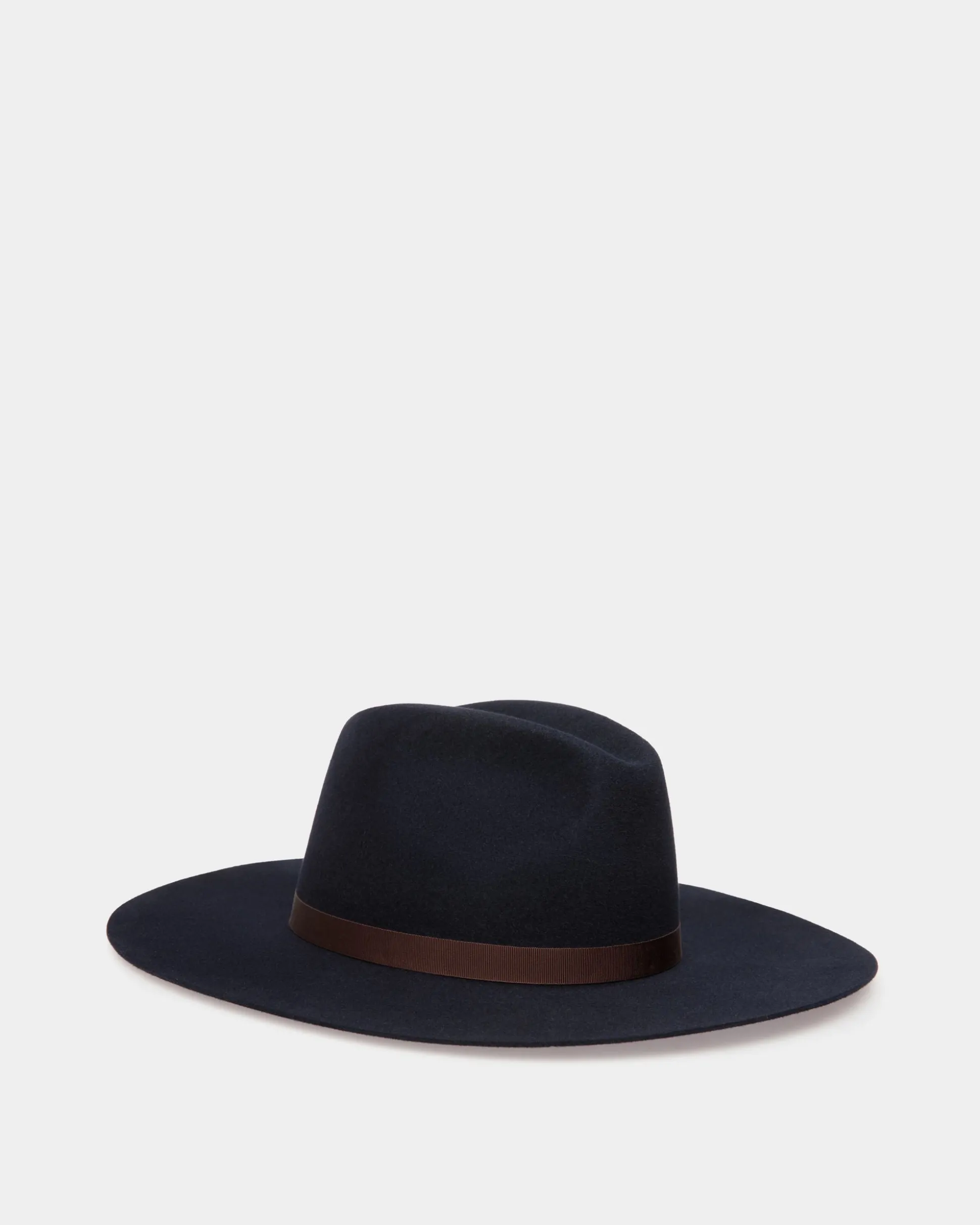 Large Brim Hat In Navy Blue Felt