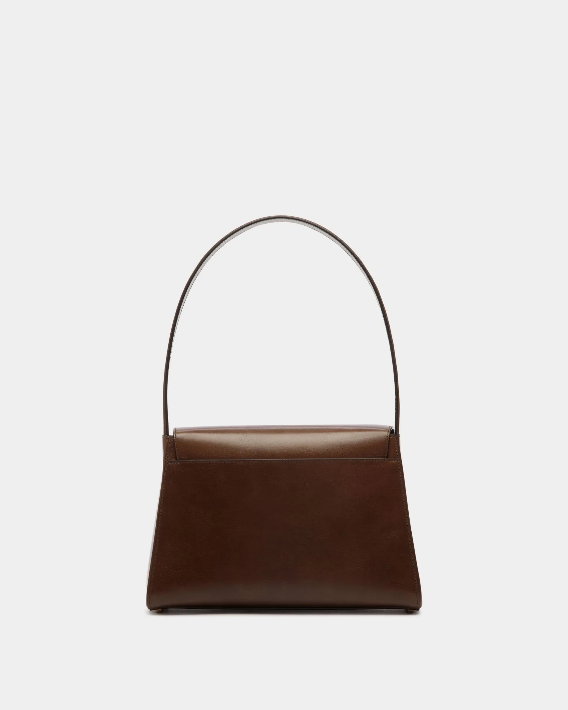 Ollam Shoulder Bag In Marron Glacé Leather
