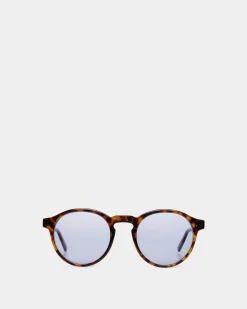 Round Sunglasses in Havana