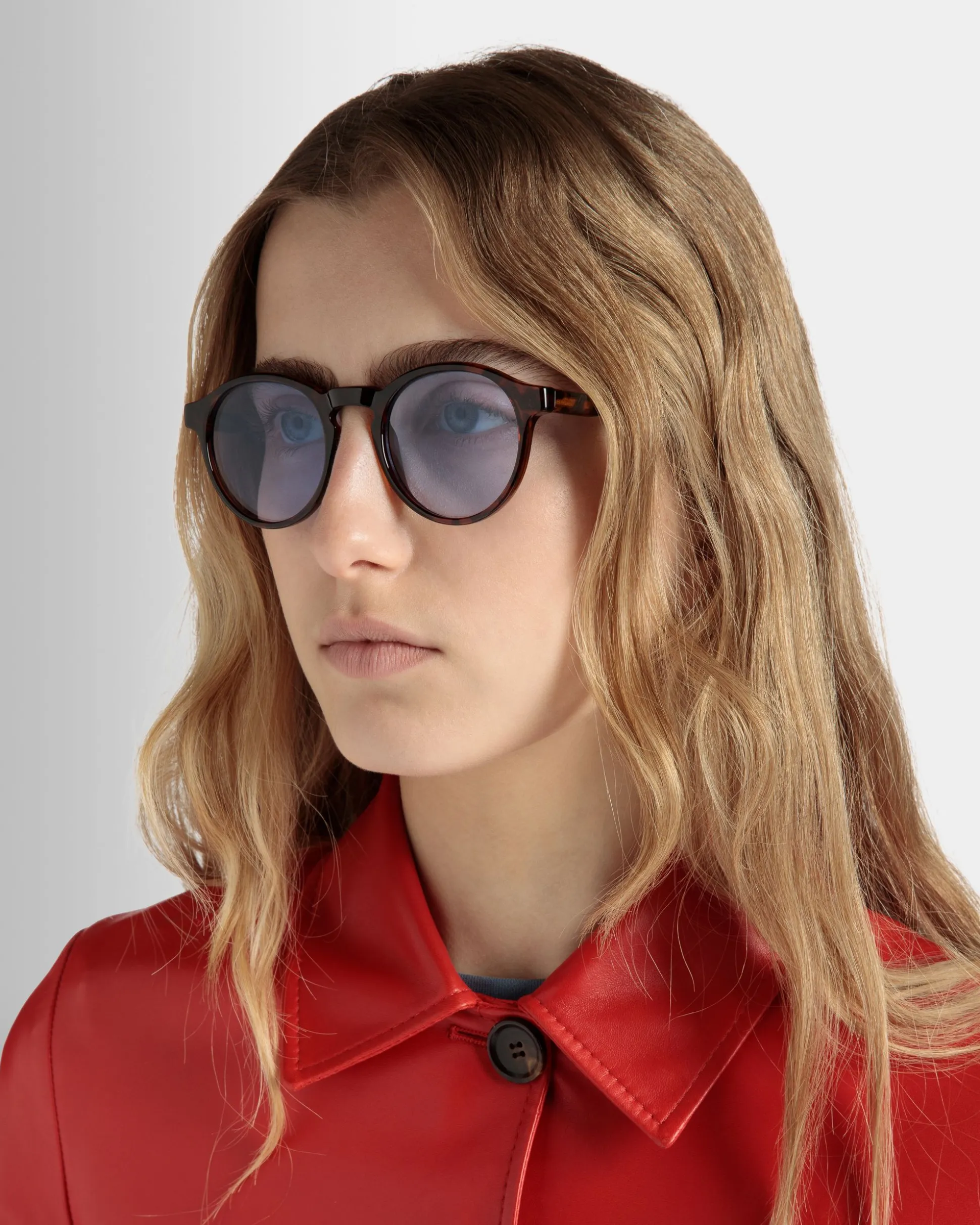 Round Sunglasses in Havana