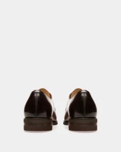 Scribe Novo Derby Shoes In Brown Leather