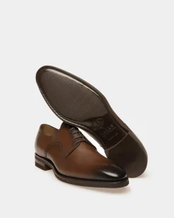 Scribe Novo Derby Shoes In Brown Leather