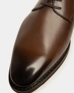 Scribe Novo Derby Shoes In Brown Leather