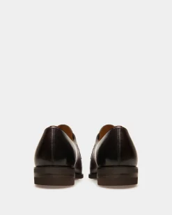 Scribe Novo Derby Shoes In Coffee Leather