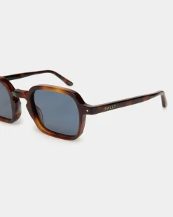 Werner Sunglasses In Havana Acetate